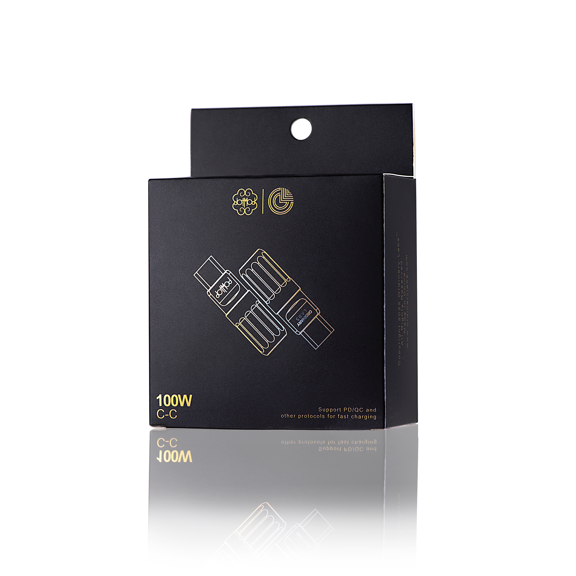 DotMod USB-C Kabel Silikon 100W Schwarz